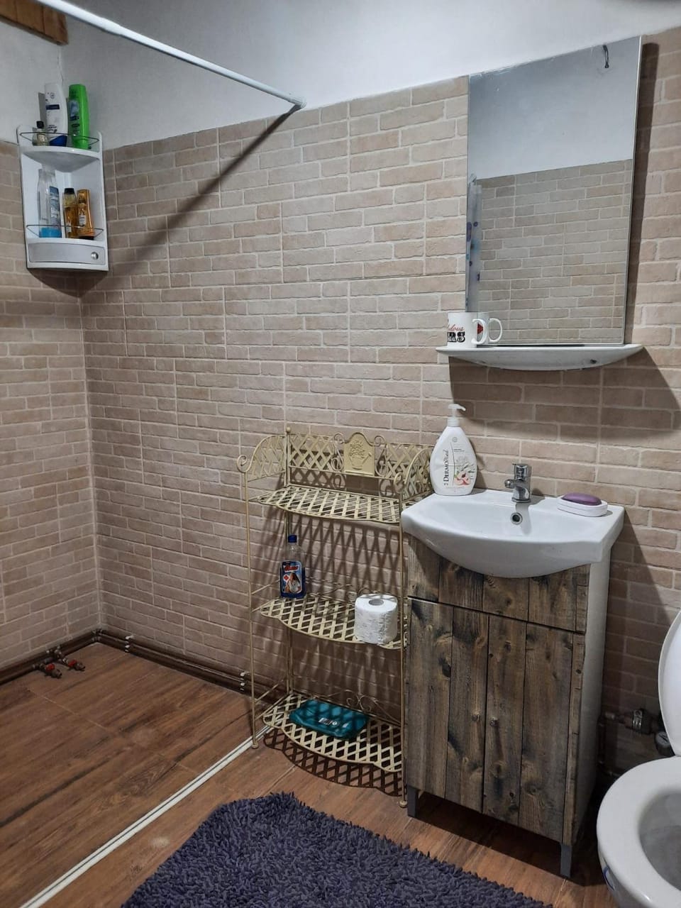 Studio cu bucatarie , baie , scara interioara , etaj cu dormitor openspace , curte cu grill, terasa House in Timiș County