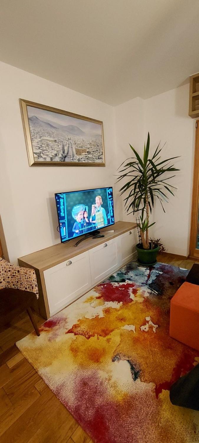 TV and multimedia