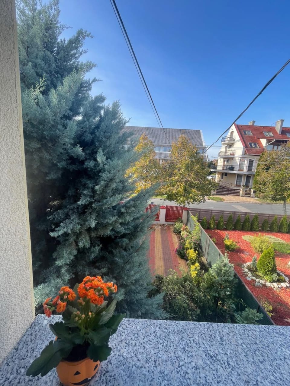 Sofi appartment Apartment in Hévíz
