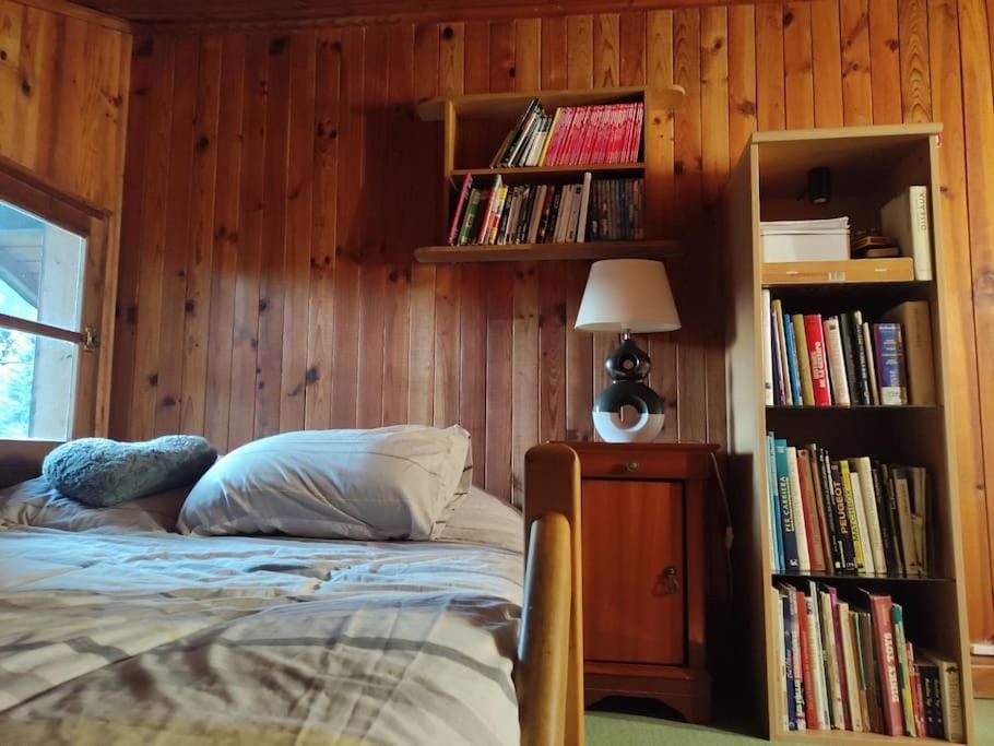 Bed, Library, Photo of the whole room