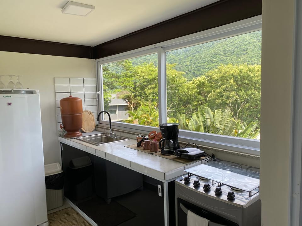 Kitchen or kitchenette, Mountain view, pet friendly, stove