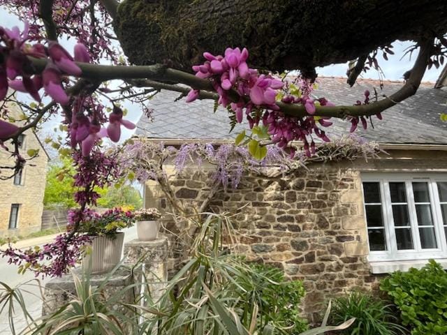 Gîte Ke'R Maé House in Brittany