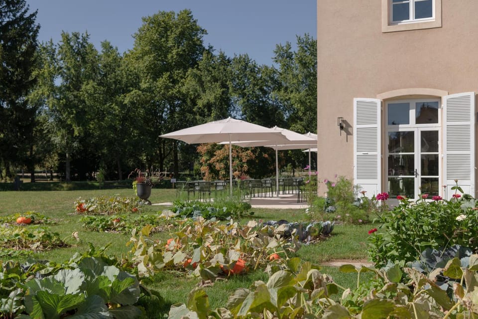 Property building, Natural landscape, Garden, Garden