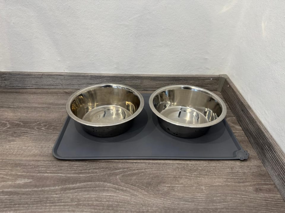 Pets, kitchen