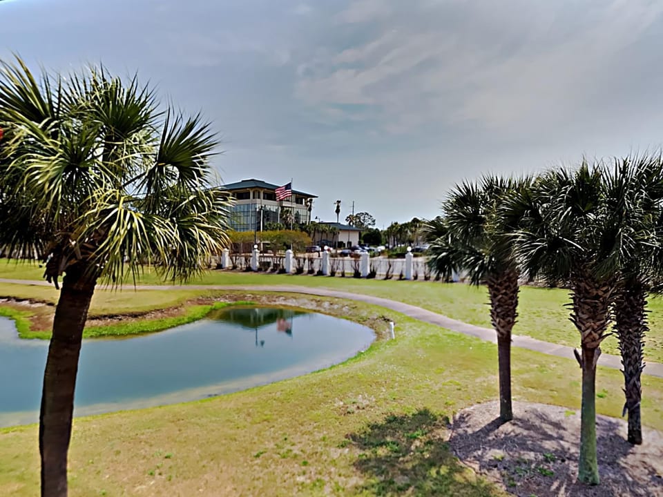Property building, Natural landscape, Garden