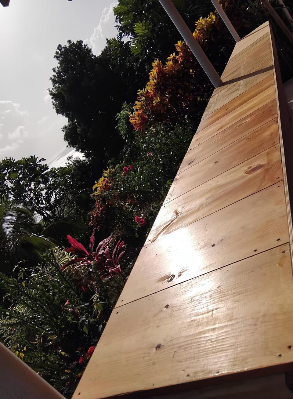 "SunRise Inn" Nature Island Dominica Apartment in Dominica