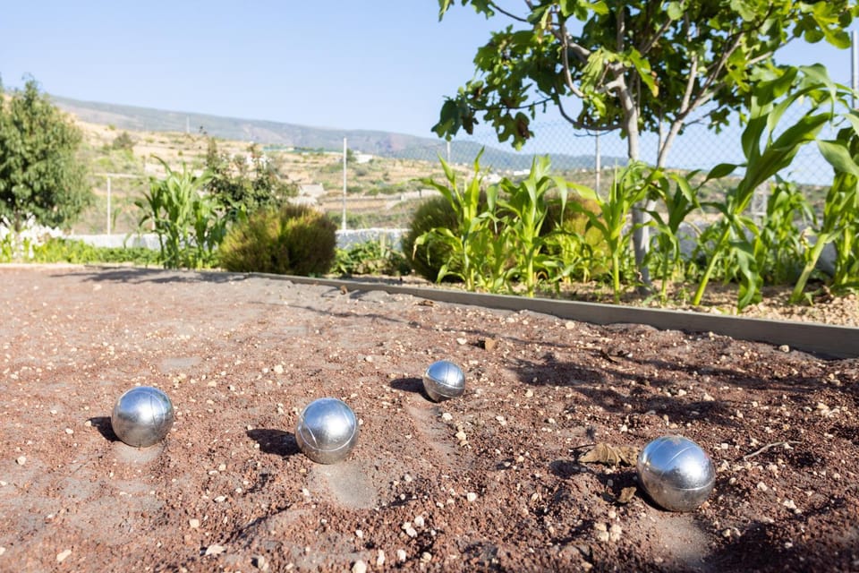 Natural landscape, Garden, Garden, Mountain view