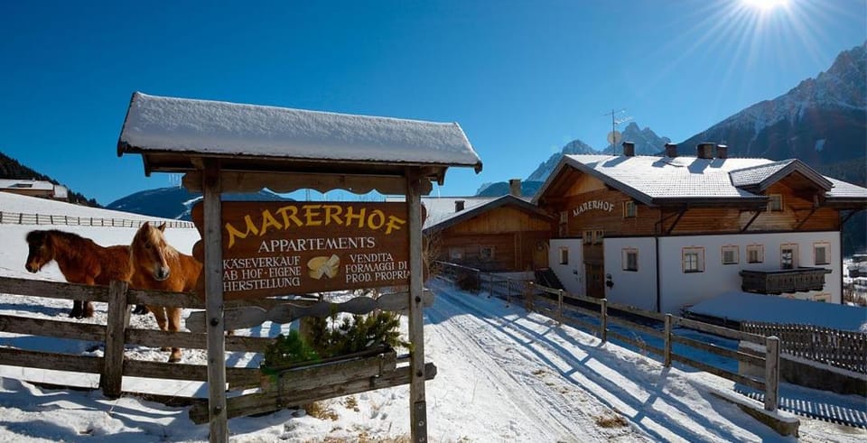 Property building, Property logo or sign, Winter