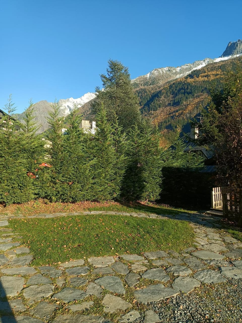 Garden view
