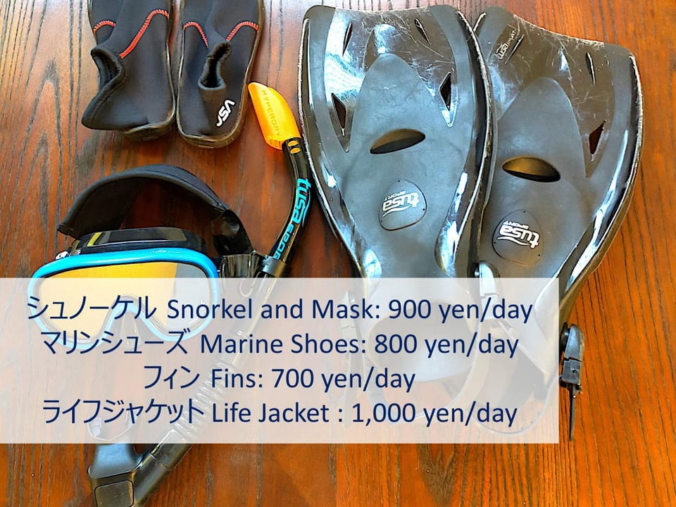Activities, Snorkeling