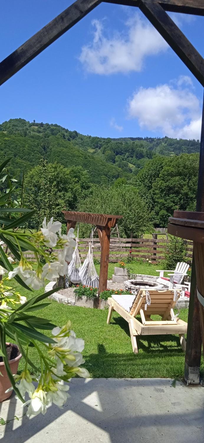 Natural landscape, Garden, Garden view, Mountain view, sunbed