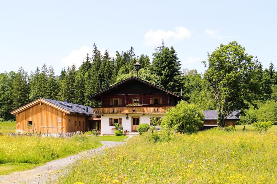 Property building, Summer