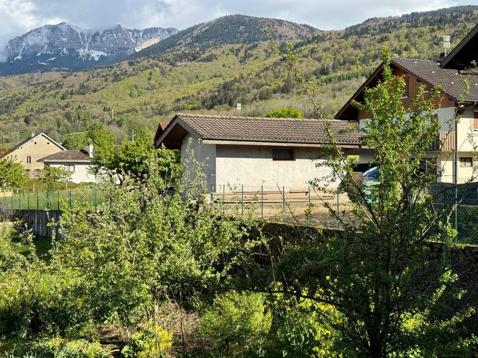 Mountain view