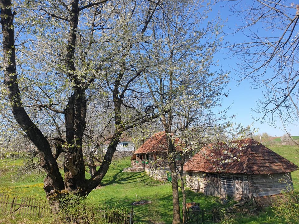 Property building, Spring, Natural landscape
