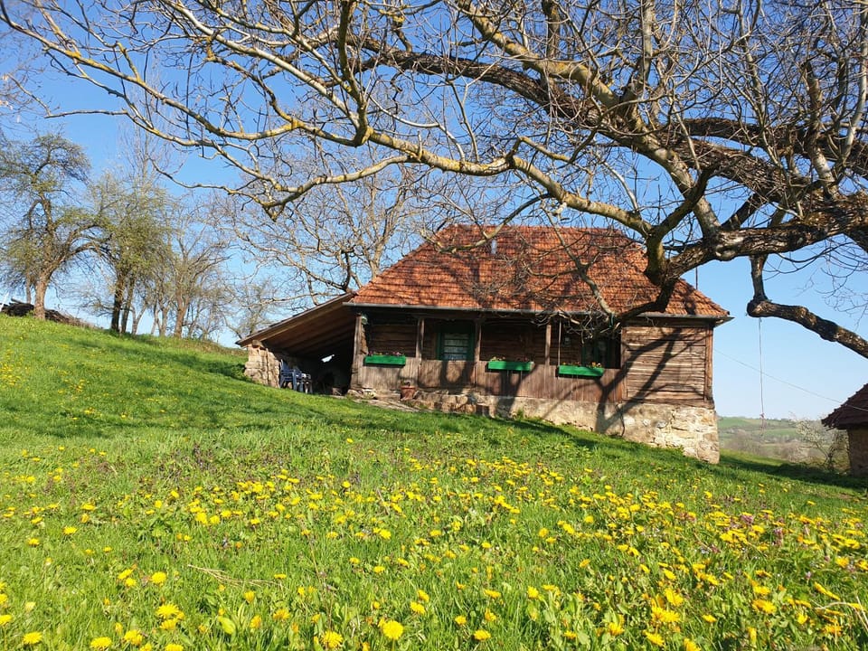 Property building, Spring