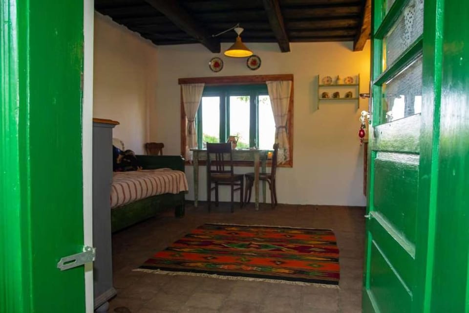 Living room, kitchen