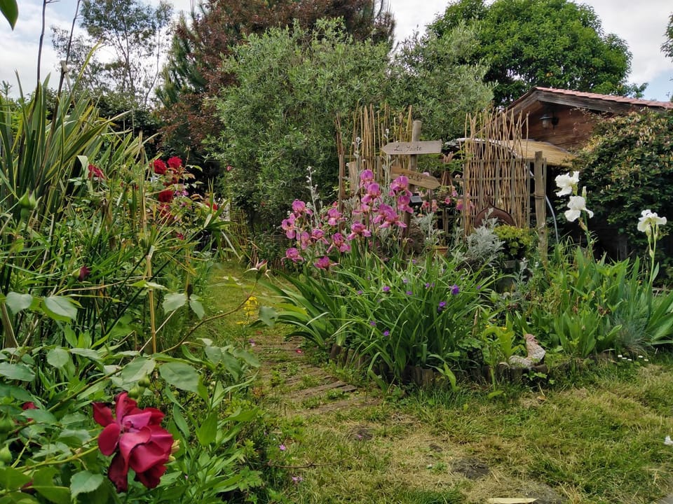 View (from property/room), Garden view