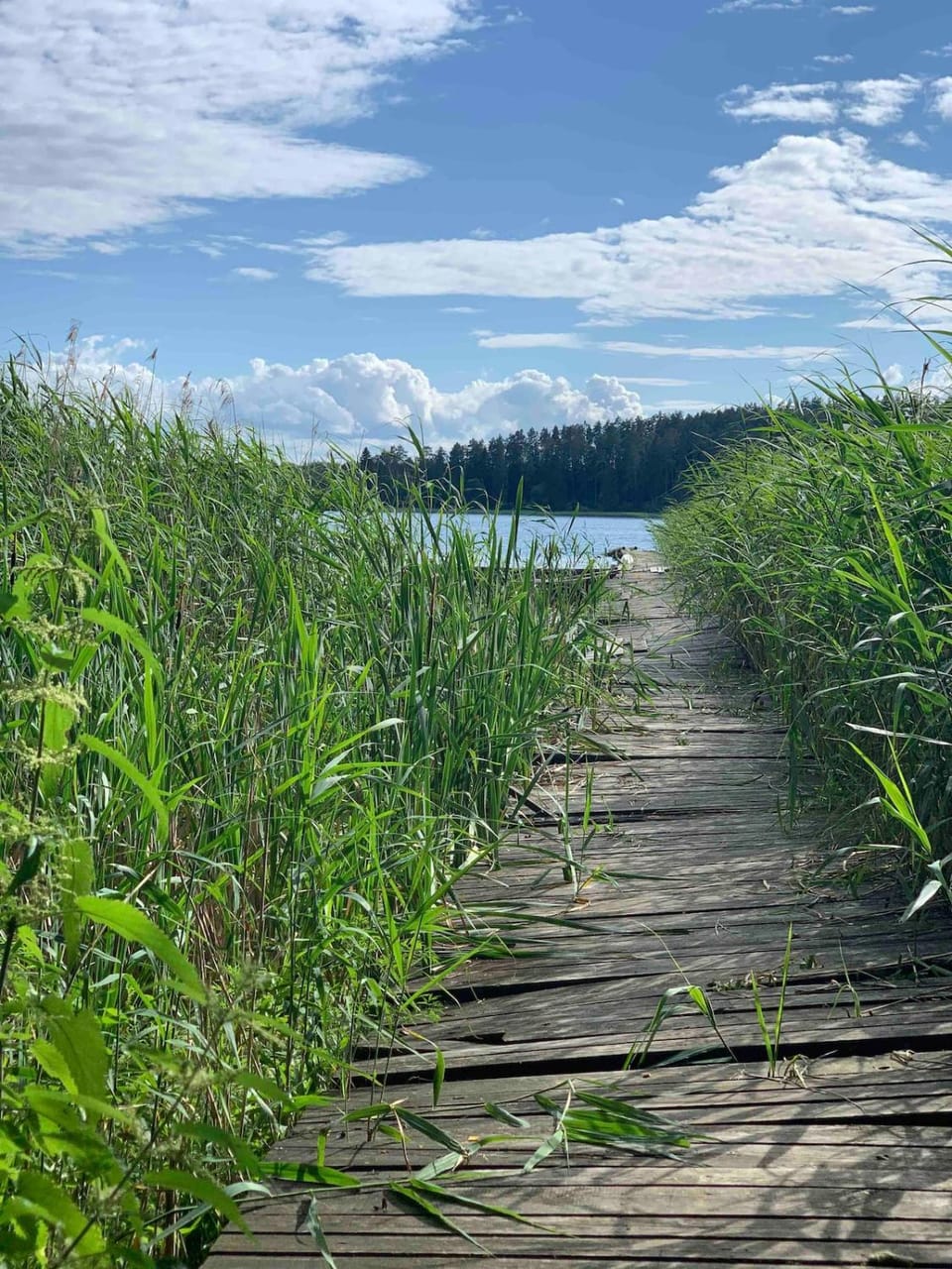Sidorówka nad Wigrami Chalet in Lithuania