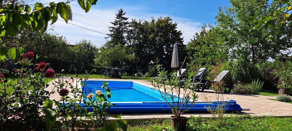 Garden, Swimming pool