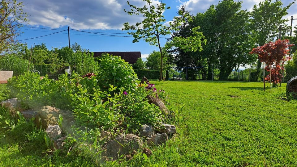 Day, Natural landscape, Garden view