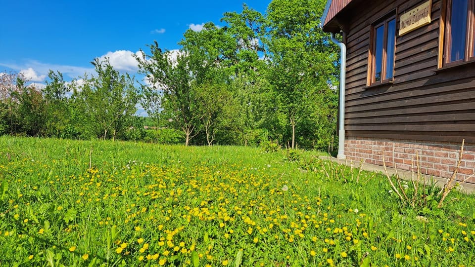Day, Natural landscape, Garden, Garden view