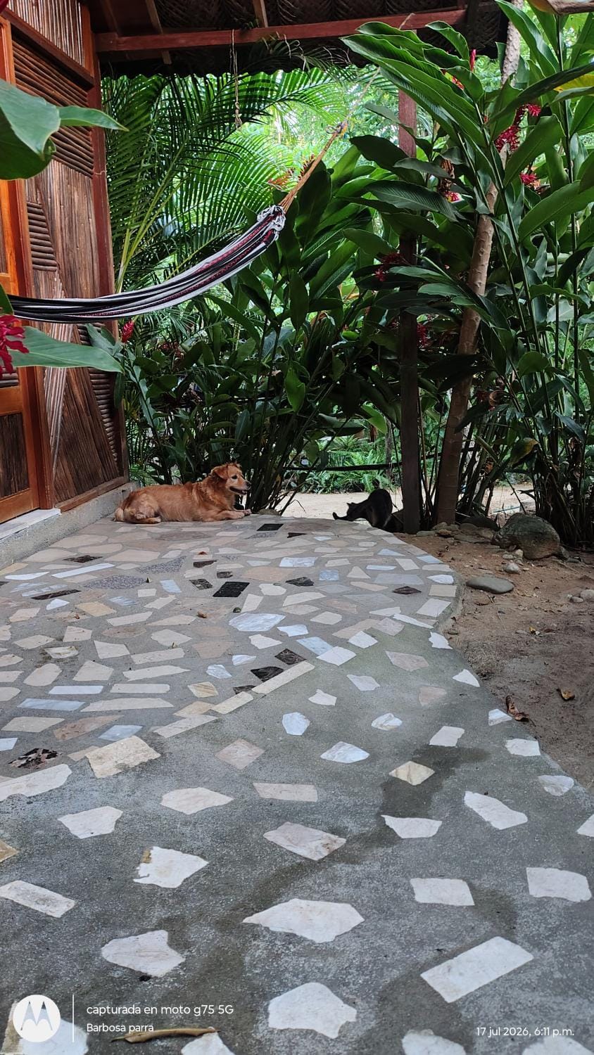Garden view