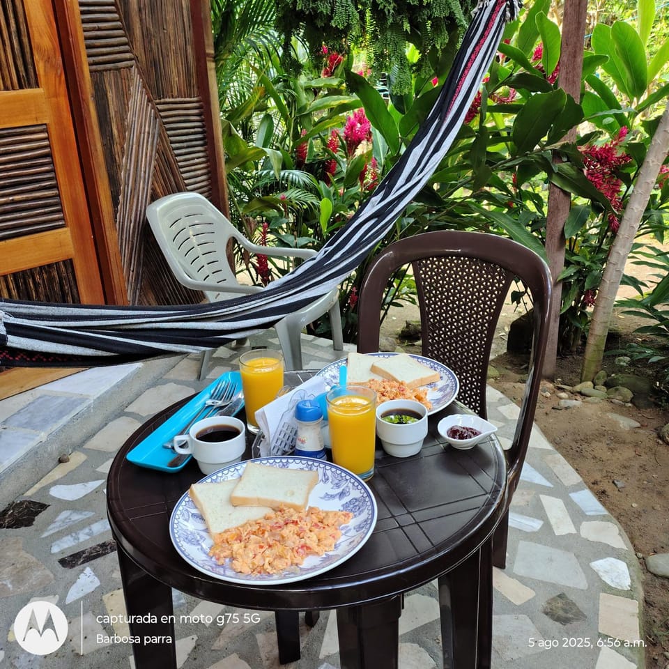 Balcony/Terrace, Breakfast