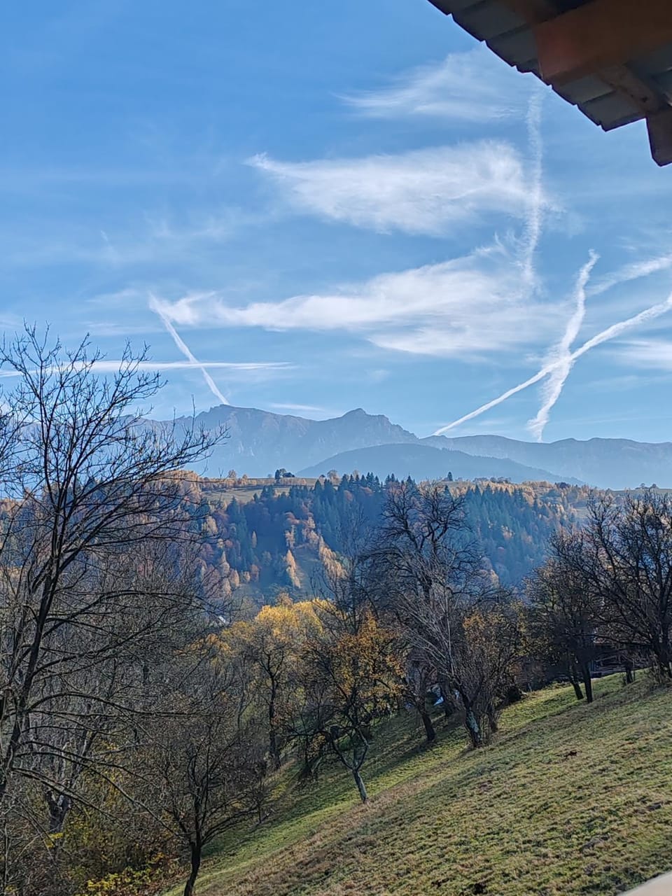Touch the Sky Chalet in Brașov County