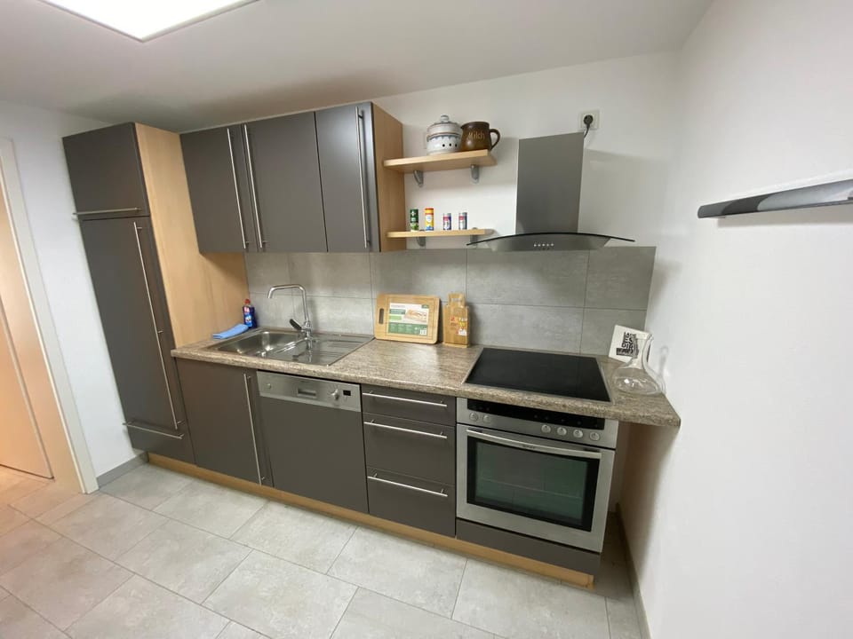 dishwasher, minibar, stove, kitchen