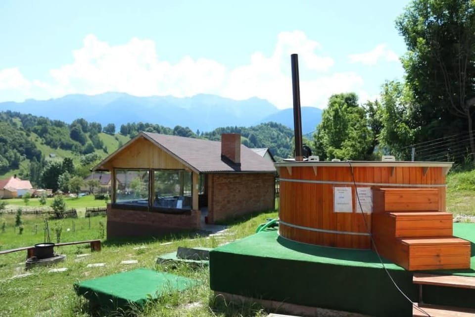 Day, Garden, Mountain view
