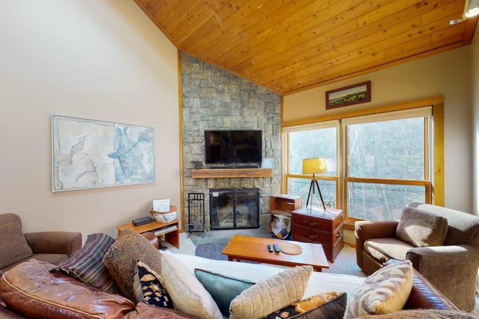 Cozy Modern Comfort Apartment in Mendon