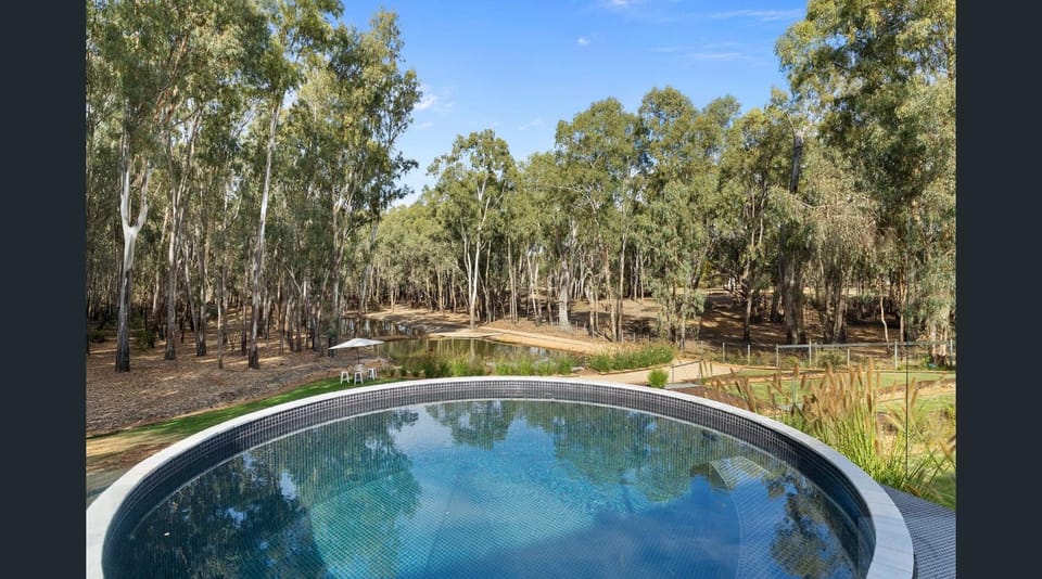Spring, Day, Natural landscape, Garden, Garden view, Pool view, Swimming pool