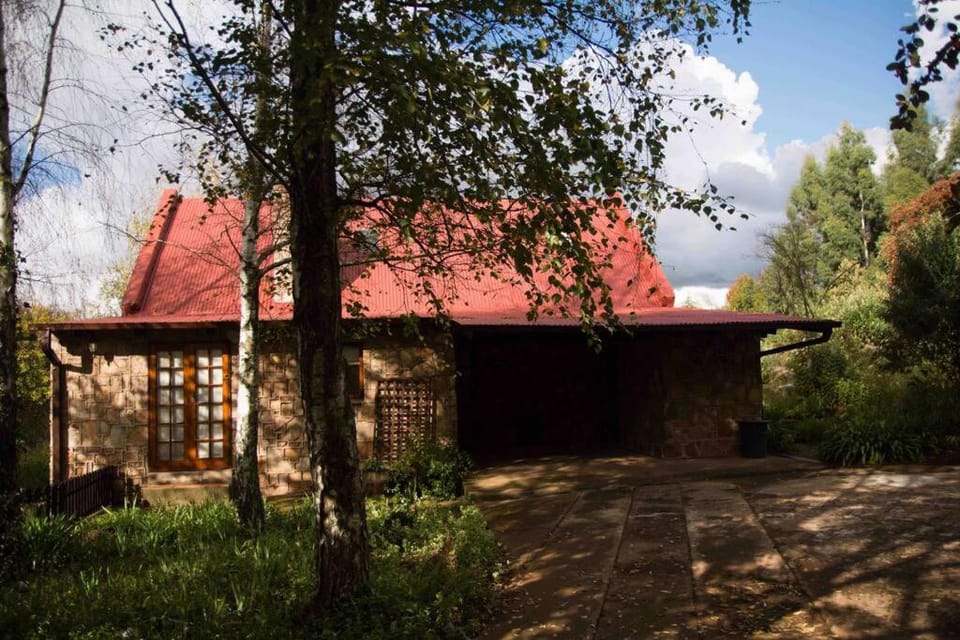 Property building, Garden view
