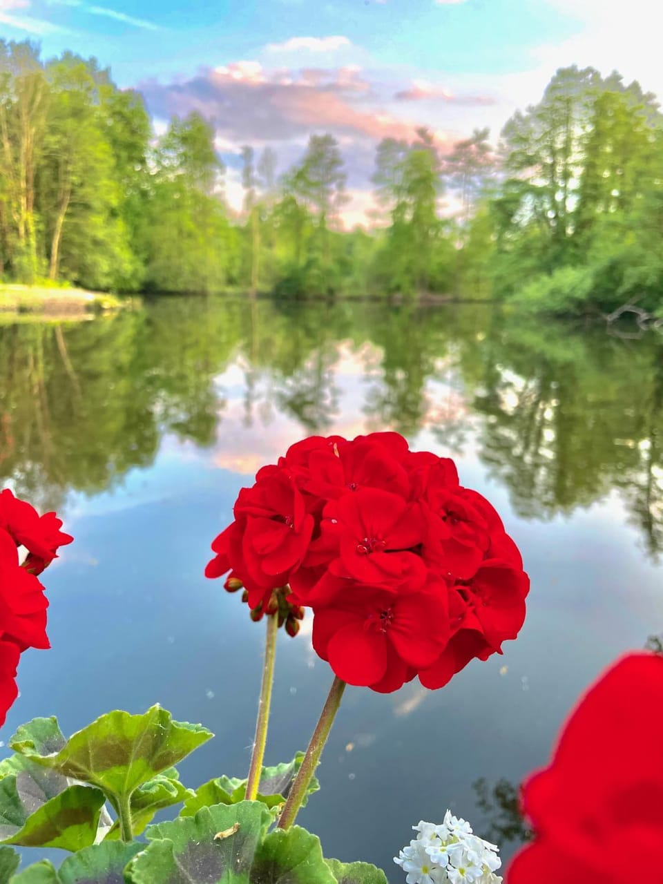 Lake view