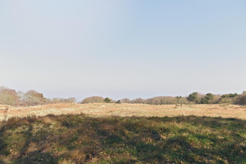 Day, Natural landscape