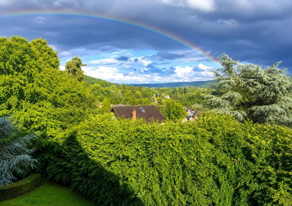 Garden view