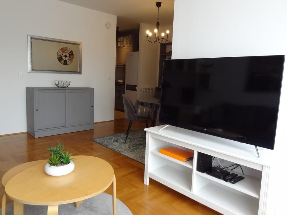 TV and multimedia