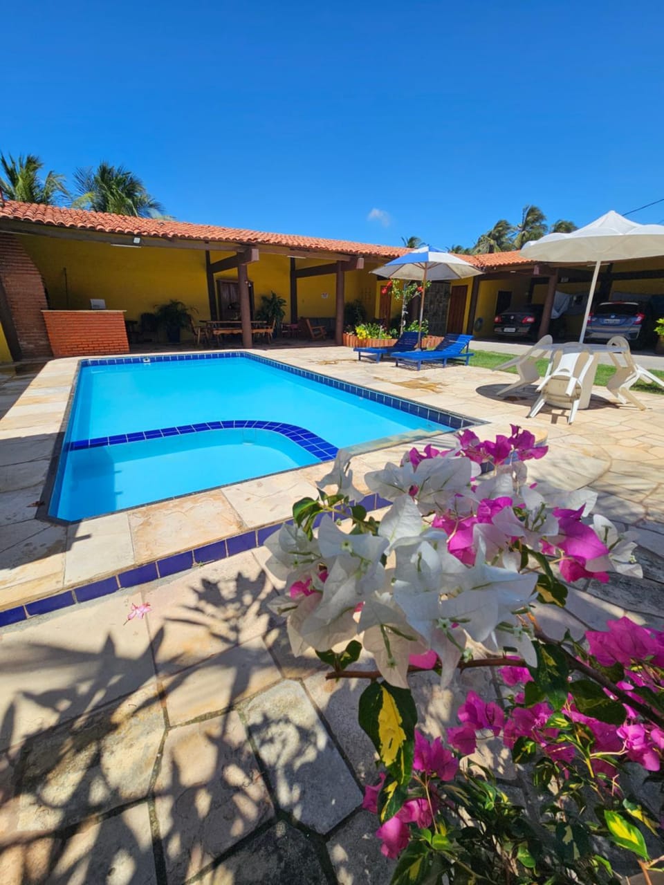 Garden, Pool view, sunbed