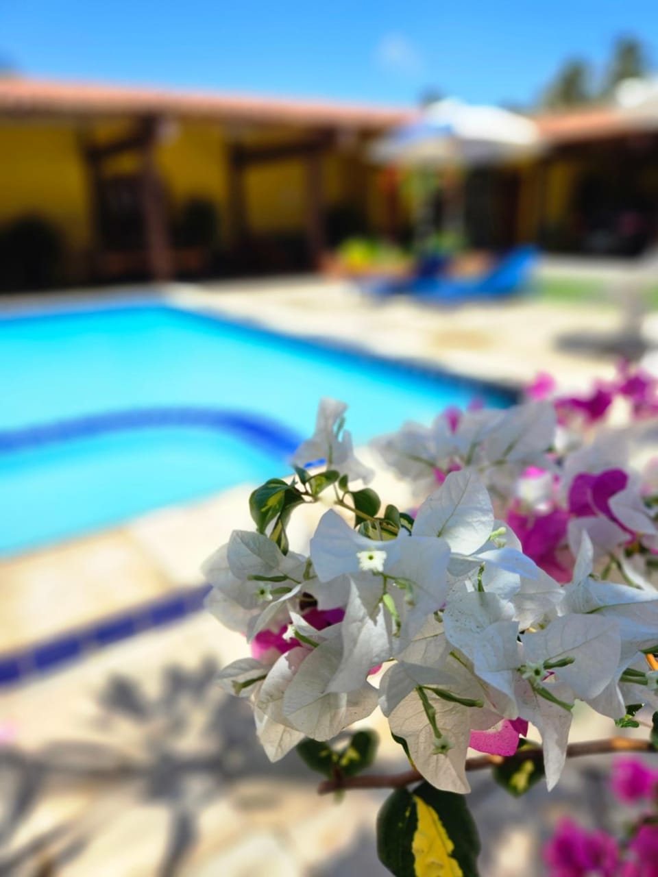 Garden view, Pool view
