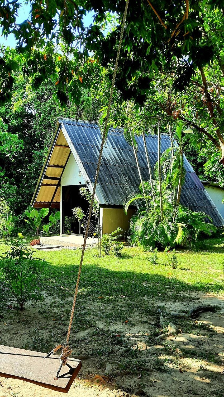 Property building, Garden view