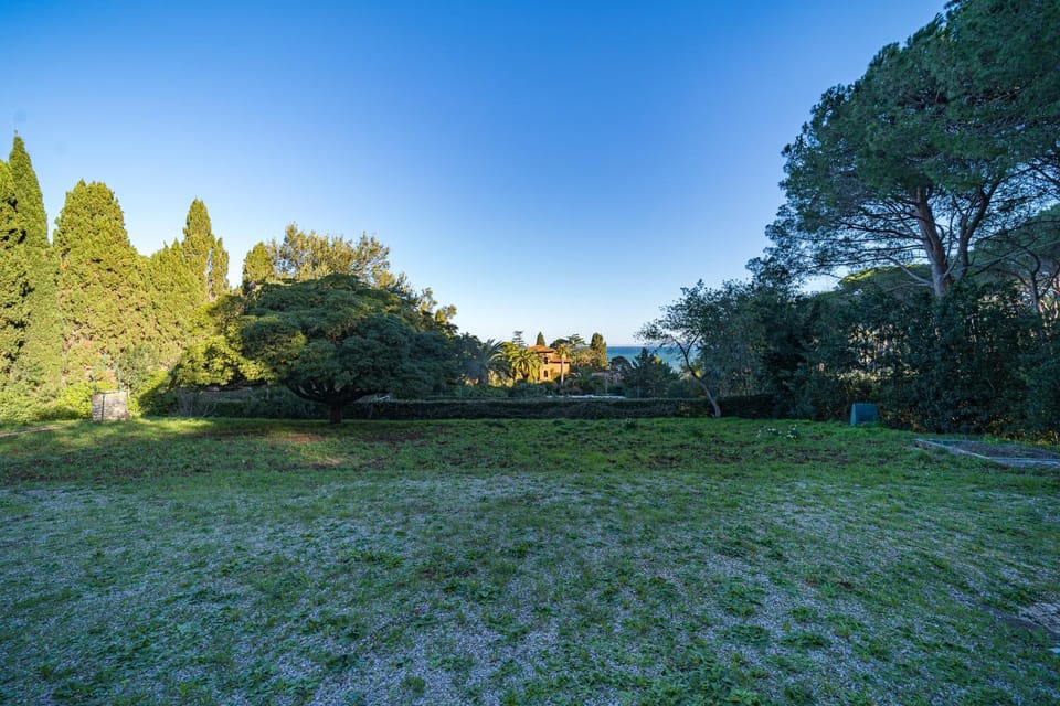 Day, Natural landscape, Garden, Garden view