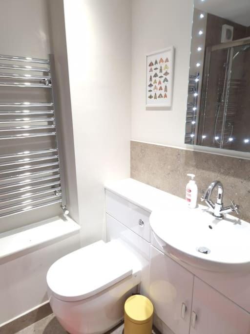 Stylish two bed flat, city centre, free parking Apartment in Mendip District