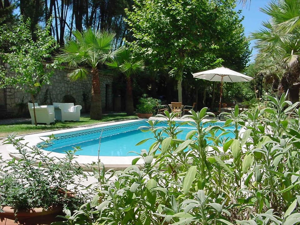 Garden, Swimming pool