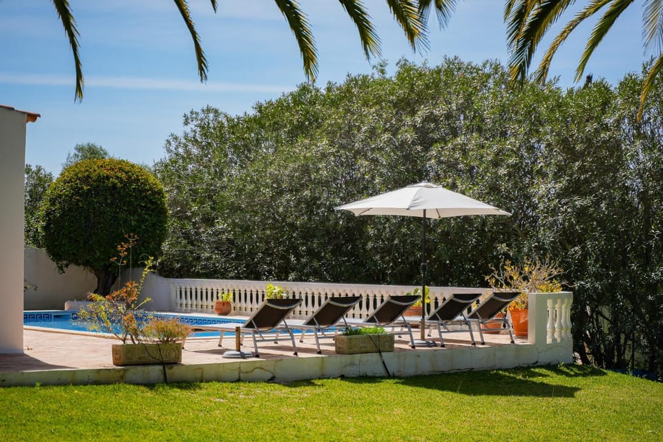 Garden, Garden, Swimming pool, sunbed