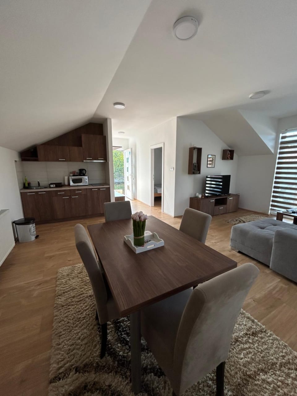 Apartman Dunja Apartment in Serbia