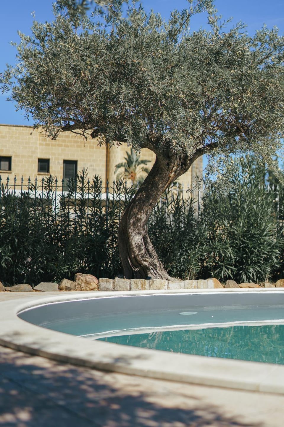 Day, Garden, Swimming pool, Swimming pool