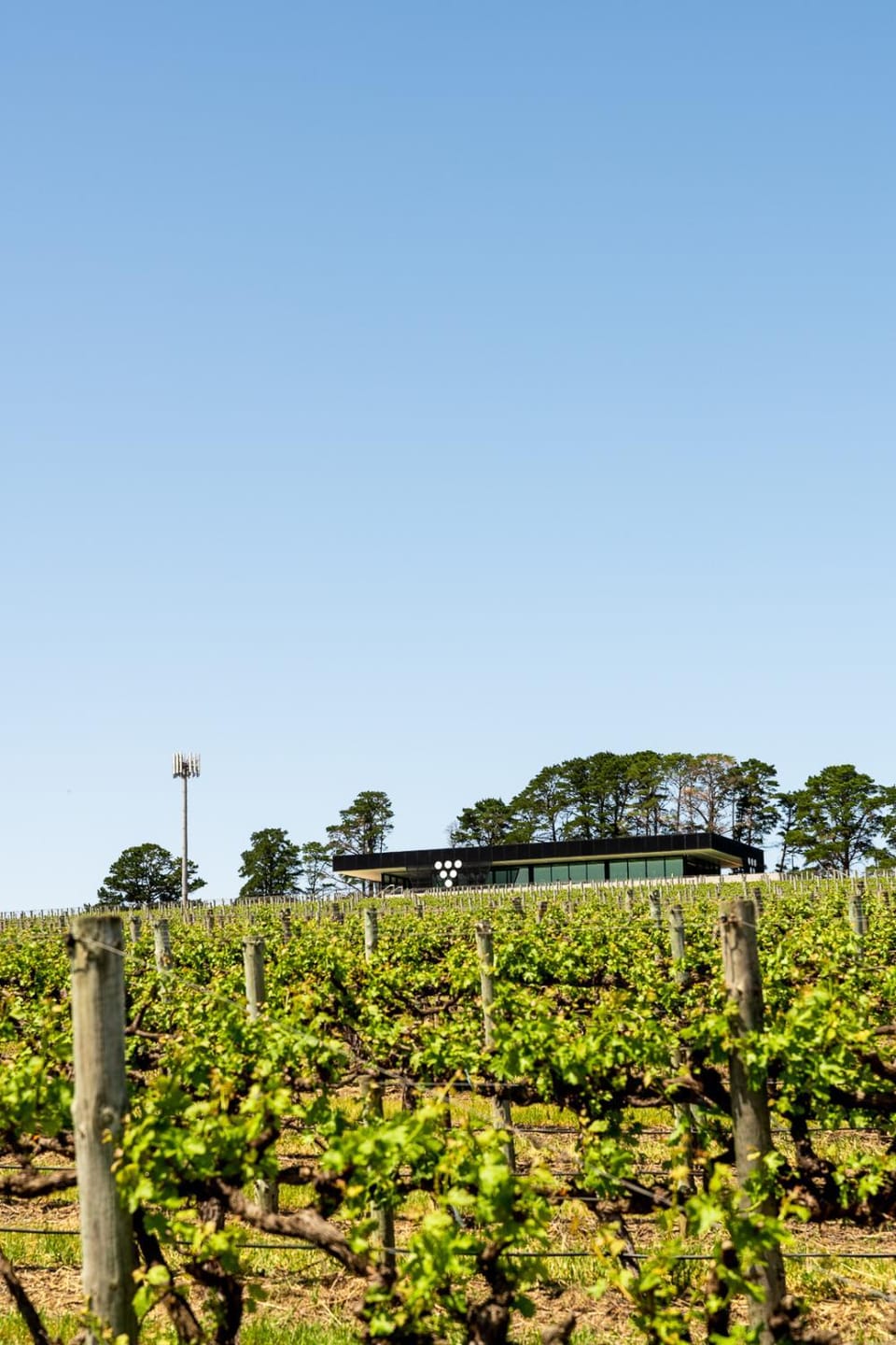 Property building, Restaurant/places to eat, Natural landscape
