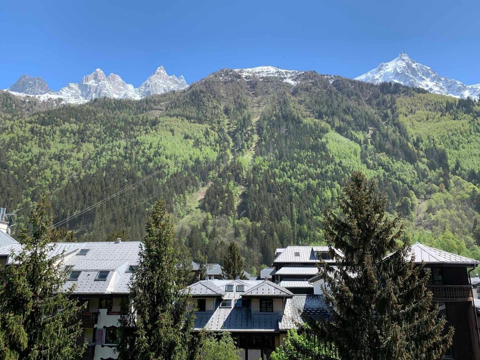 Studio à Chamonix avec balcon, 4 personnes - FR-1-343-238 Apartment in Chamonix