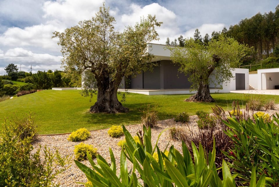 Barbónica Villa in Lisbon District