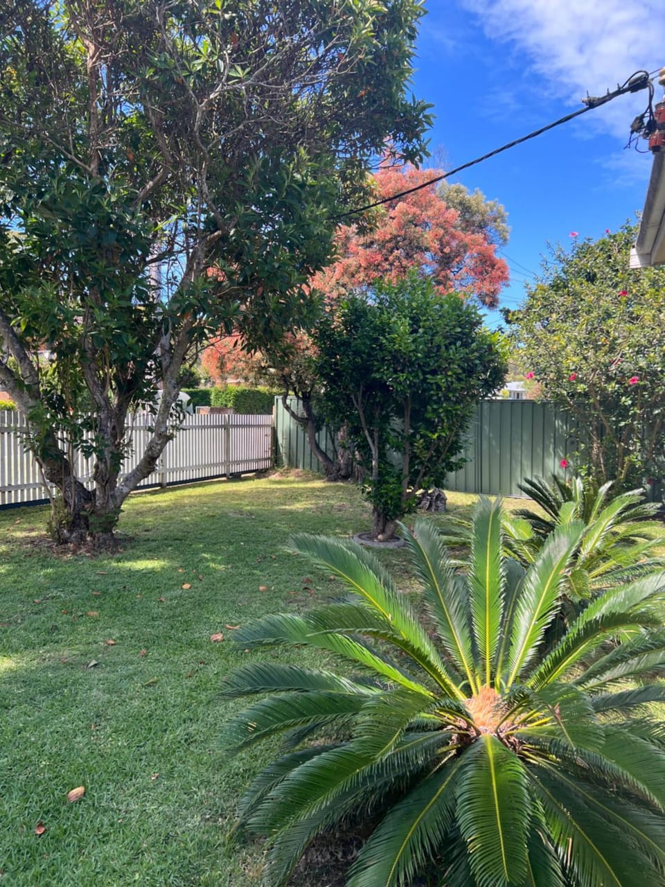 Garden, Garden view